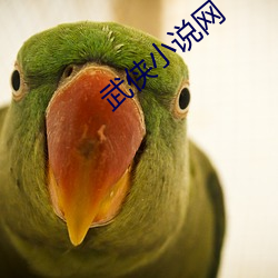米乐M6·(中国)官方网站
