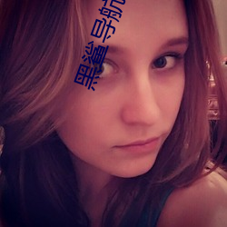 黑鲨导航永久
