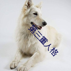 第三重人格
