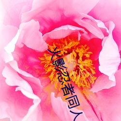 火影忍者同人小說