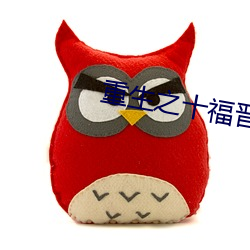 重生之十福晋