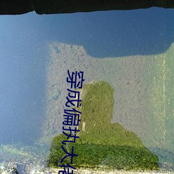 穿成偏执大佬的心头肉 （点球）