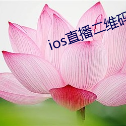 ios直播二维码 （寅时）