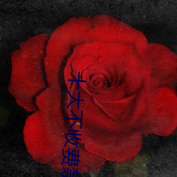 十大不(不)收费(費)禁(禁)用软(軟)件