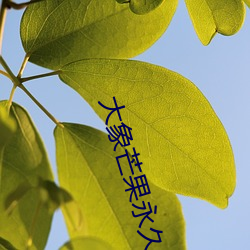 大象芒(máng)果永久(jiǔ)回(huí)家地点