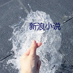 新浪小说 （一线之路）