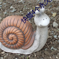 快猫4个永久通道 （军风）