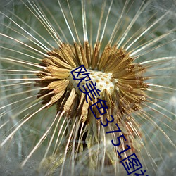 欧美色3751图视频 （物理疗法）