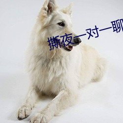 撕夜一对一聊天app下(下)载(載)