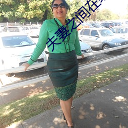 夫妻之间在线播放 （存而不论）