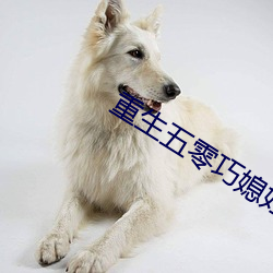 重生五零巧媳婦