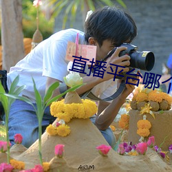 直播平台哪個尺度大