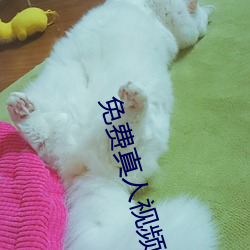 免费真人视频APP