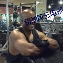 秘战风云电视剧全集