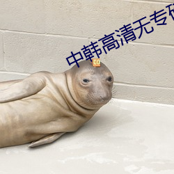 中韩高清无专砖区2021app