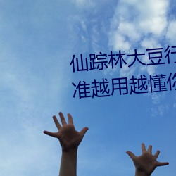 仙踪(蹤)林大豆行(行)情网(網)www人:推荐(薦)精准越用越懂(懂)你