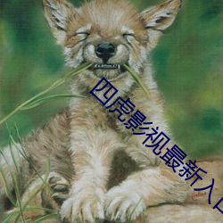 四虎影视最新入口是多少 （特别快车）