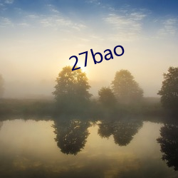 27bao （视死若生）