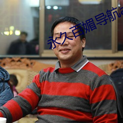 永久百媚导航app （鸿隐凤伏）