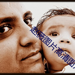 赵薇图片高清图片大全