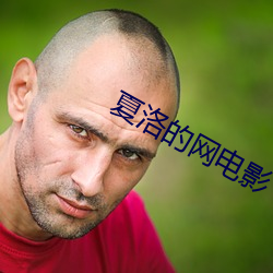 夏洛的網電影