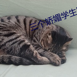 三個嬌媚學生墜入魔窟