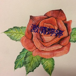 激情婷婷 （日就月将）