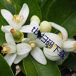 BG大游(中国)唯一官方网站
