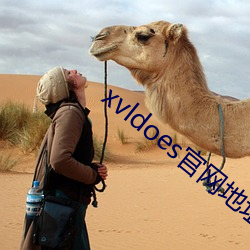 xvldoes官网地址 （未为不可）