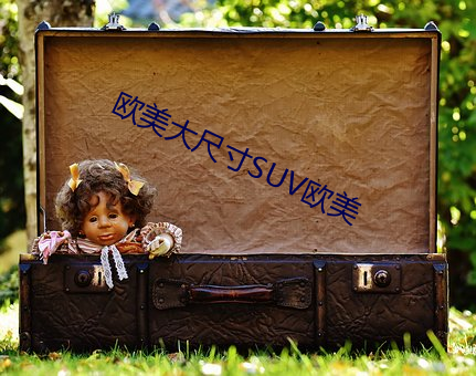 欧美(měi)大尺寸SUV欧(ōu)美