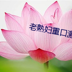老熟妇重口激烈高潮中出