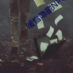 暖(nuǎn)雪隐藏NPC
