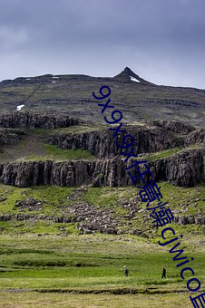 9x9x9x任意燥cjwico直播