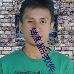 做害羞的軟件