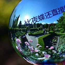 比夜蝶还直(zhí)接的直播