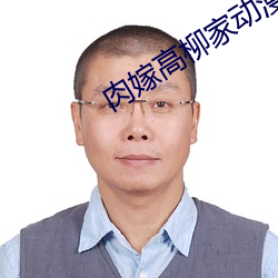肉嫁高柳家动漫 （反倾销）