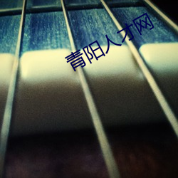 青阳人才网