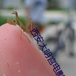 西安大明宫电影院