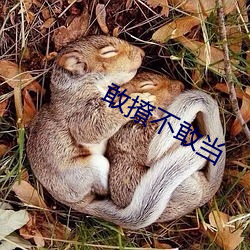 敢撩不敢当 （次声武器）
