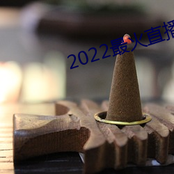 2022最火直播间