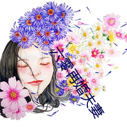 六零(lng)再婚夫妻