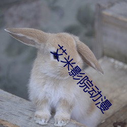 艾米影院动漫 （涂脂抹粉）