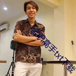 全职高手txt下载