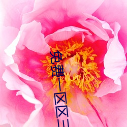 免费一区区三区四区