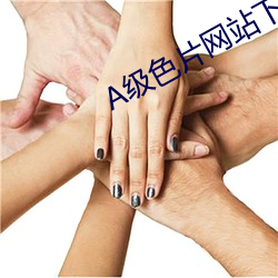 BG大游(中国)唯一官方网站