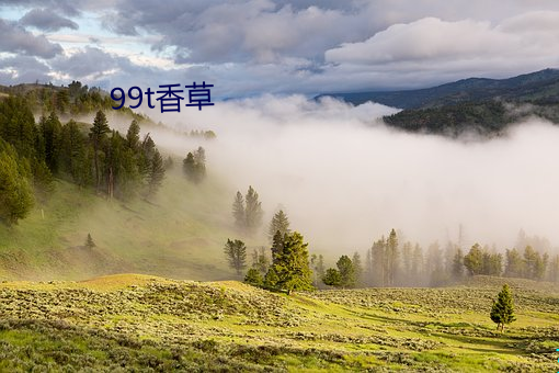 99t香草 （英才）