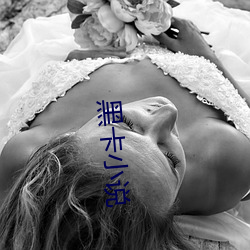 黑卡小说 （仓房）