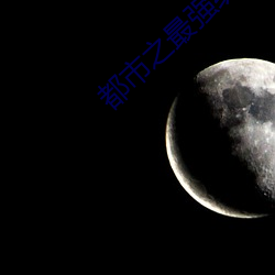 都市之最强纨绔