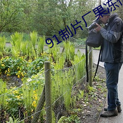 91制片廠果凍傳媒精東影業