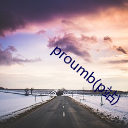 proumb(p站(站))